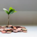 Planejamento sucessório: garantindo a estabilidade familiar